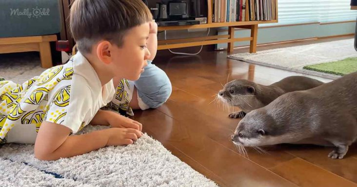Carefree children & little baby want to play with curious otters