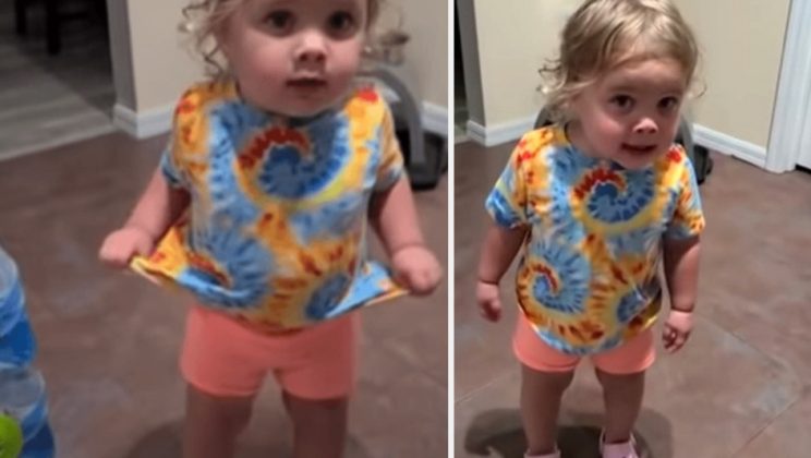 Mom Confronts Toddler About Touching The Dog Food Not Expecting Her To Quip Back Sidesplitting Defense